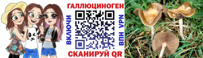 Псилоцибиновые грибы ЛСД  mega маркетплейс  Бикин 